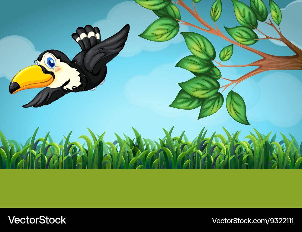 Scene with toucan flying in the field vector image