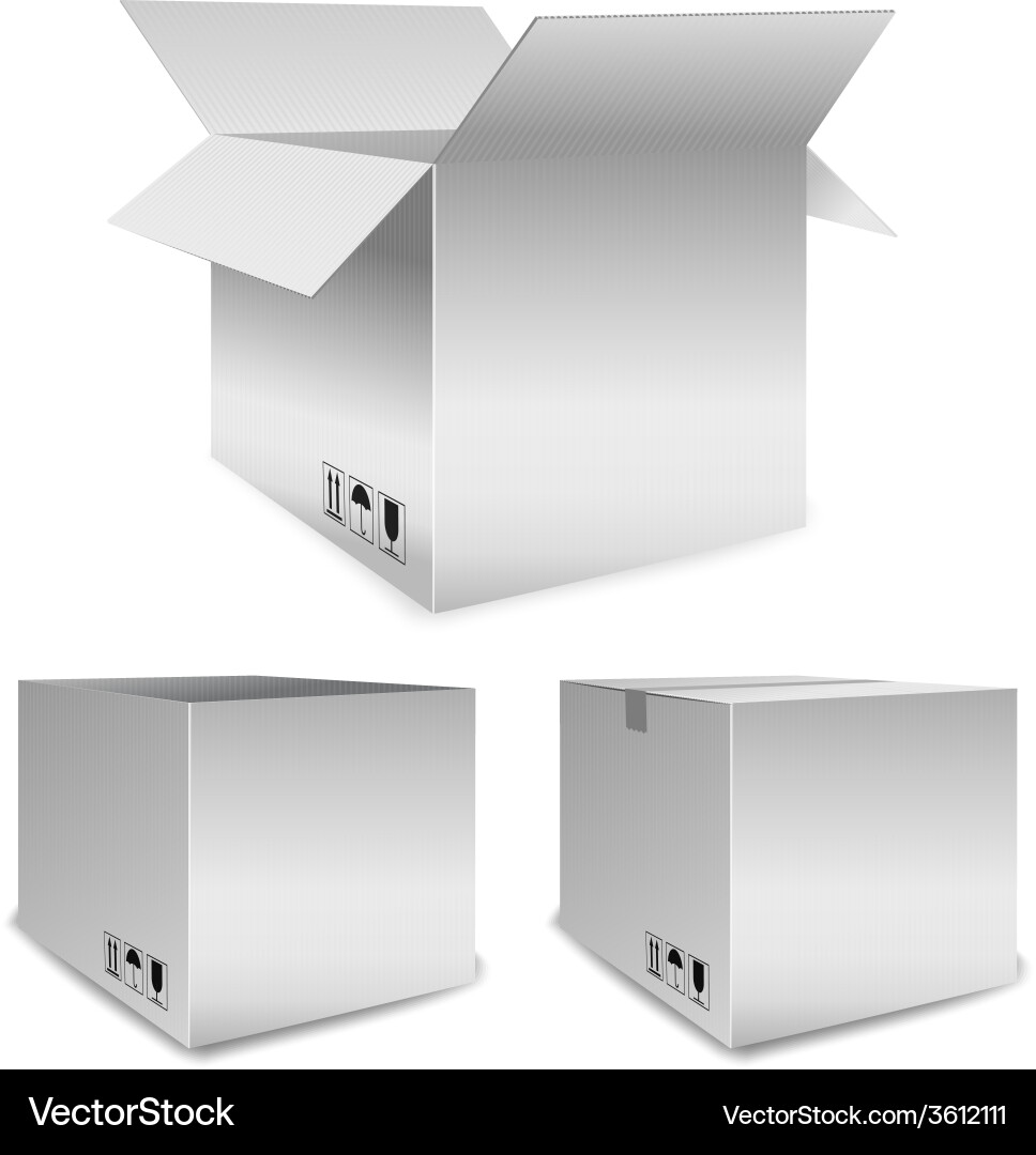 Set of packing boxes open and closed vector image