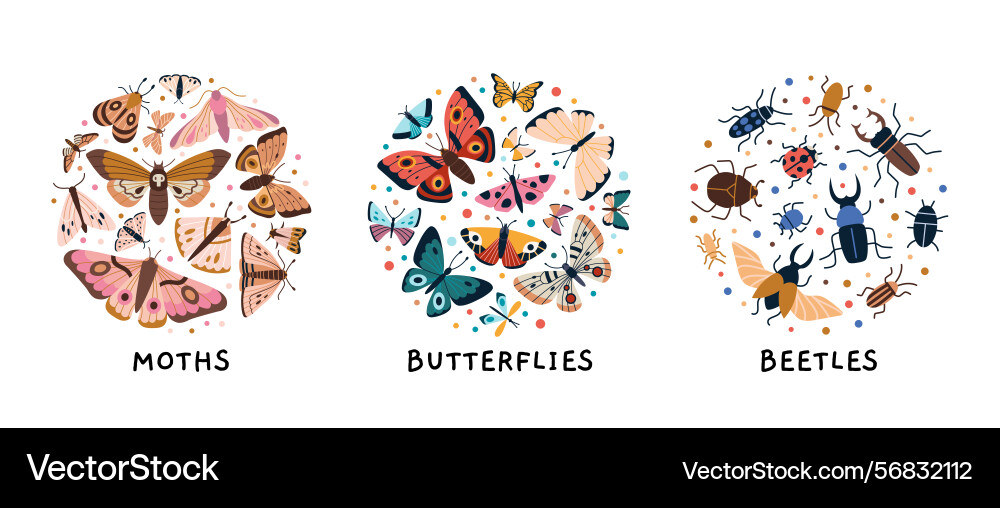 Circular compositions with three insect types Vector Image