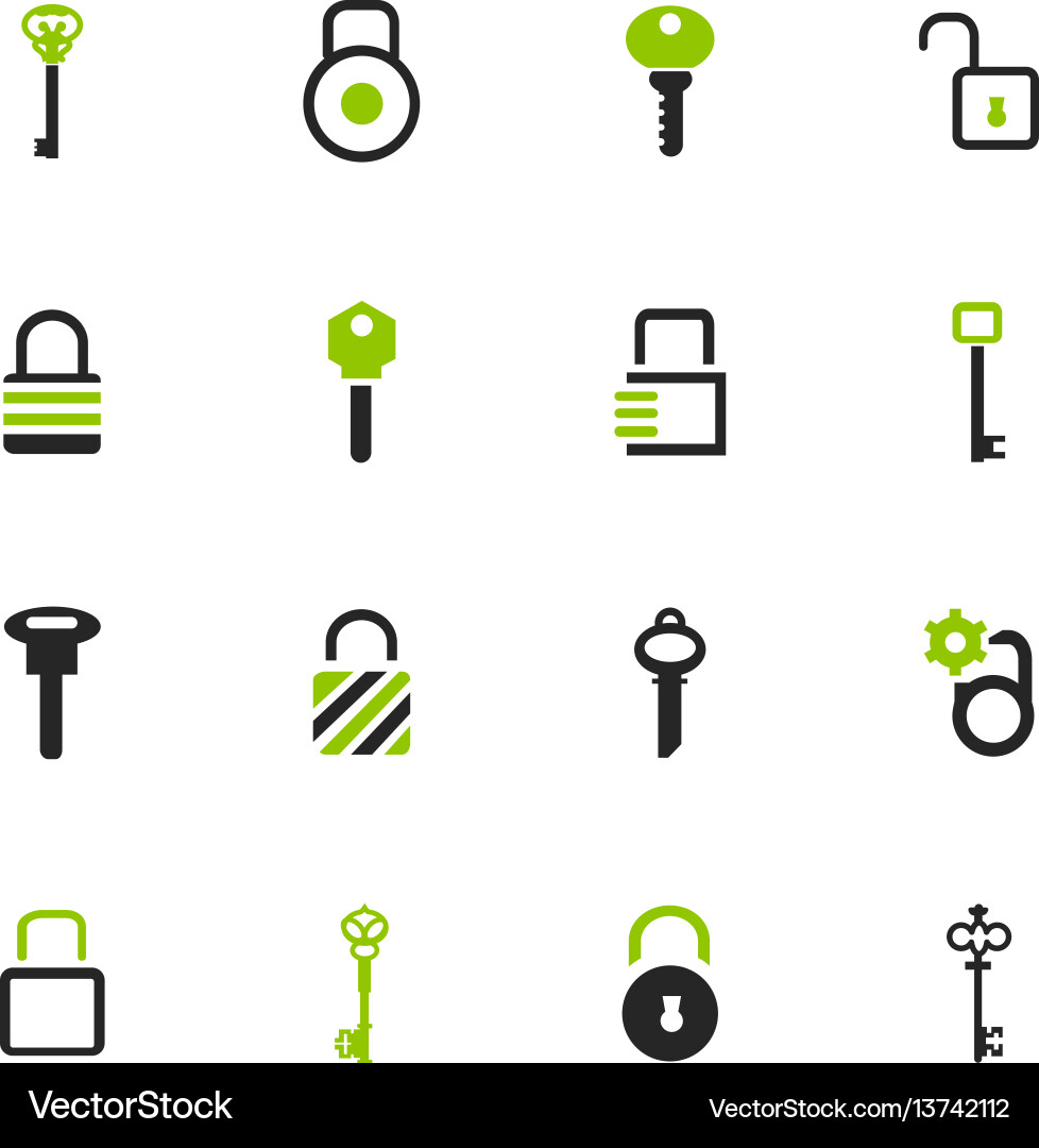 Lock and key icons set Vector Image