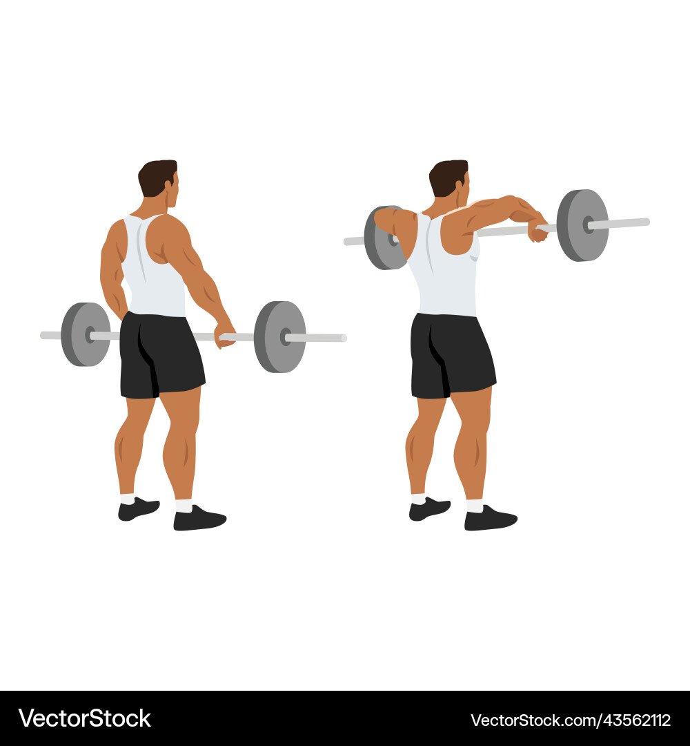 Man doing barbell upright row exercise Man doing barbell upright row exercise Vector Image