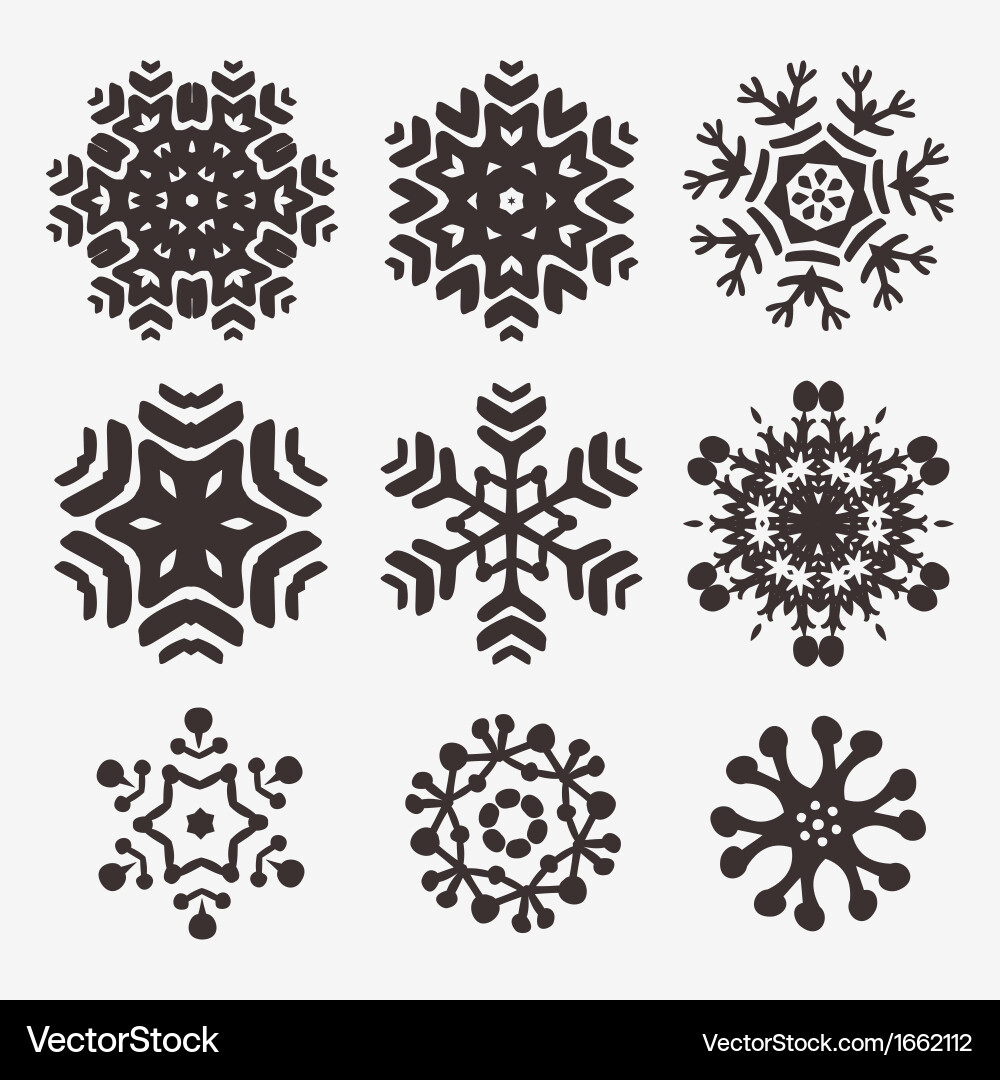 Snowflake Collection vector image