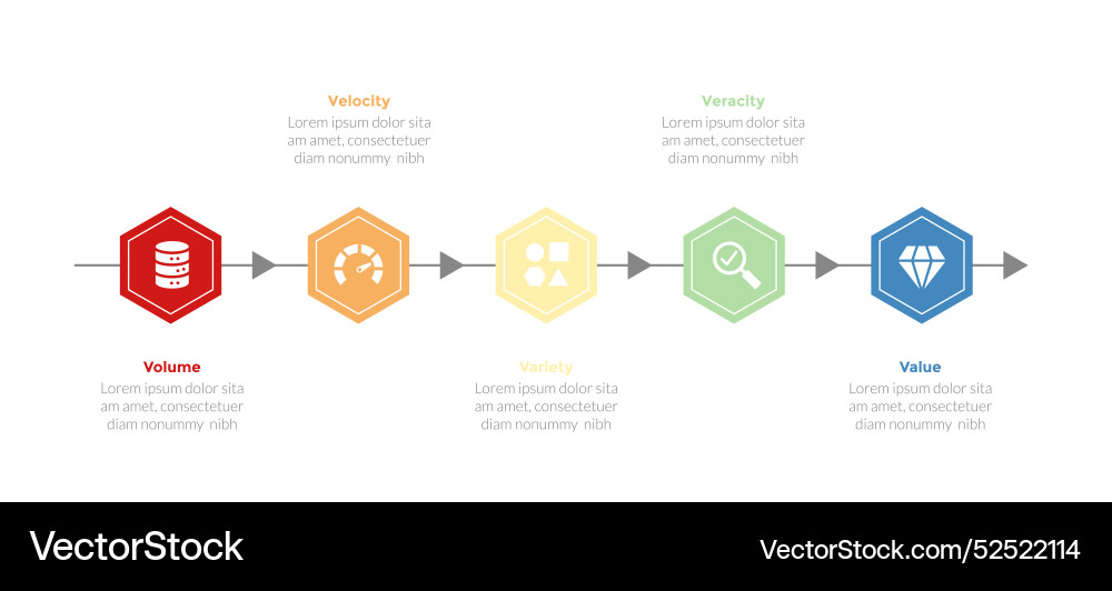 5vs Big Data Infographics Template Diagram Vector Image