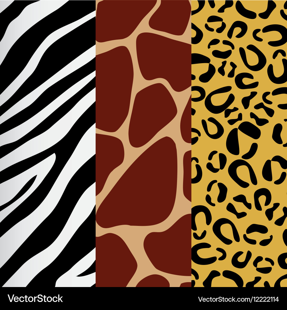 Animal print pattern image vector image