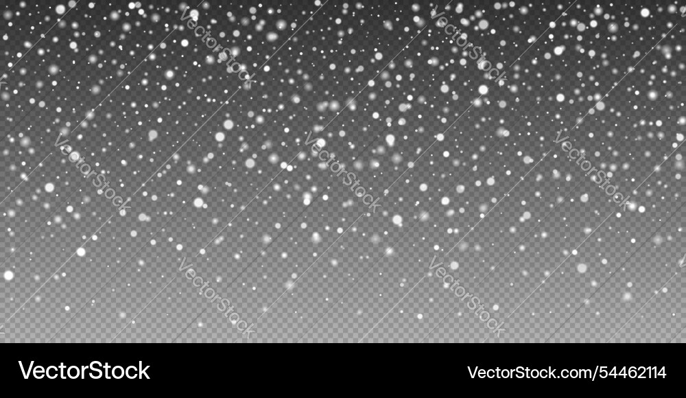 Falling snowflakes on a transparent background Vector Image