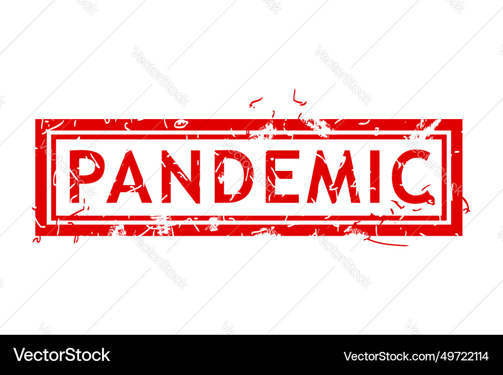 Pandemic simple rust dirty red rectangle vector image