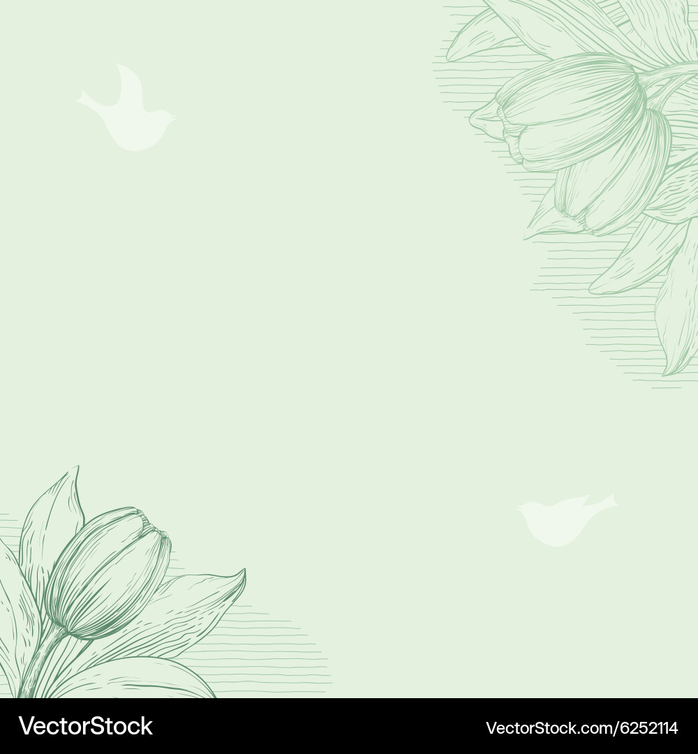 Spring Tulip Background vector image