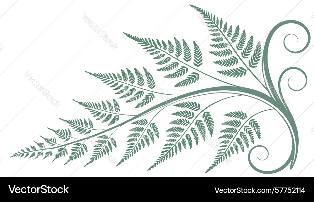 Stylized fern branch scroll corner element design Vector Image