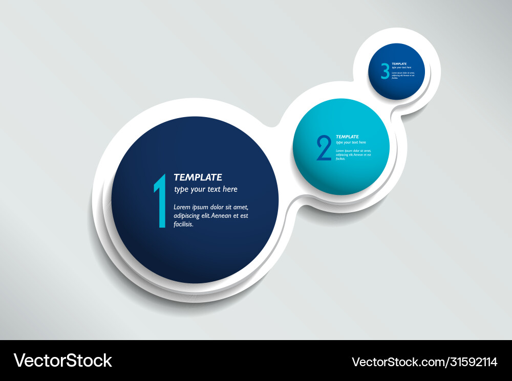 Three steps elements bubble chart scheme diagram Vector Image