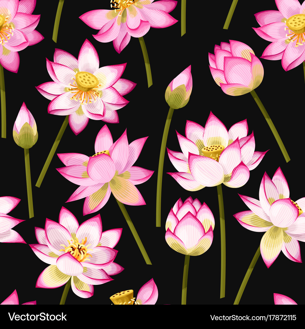 Seamless pattern with lotus flowers Royalty Free Vector
