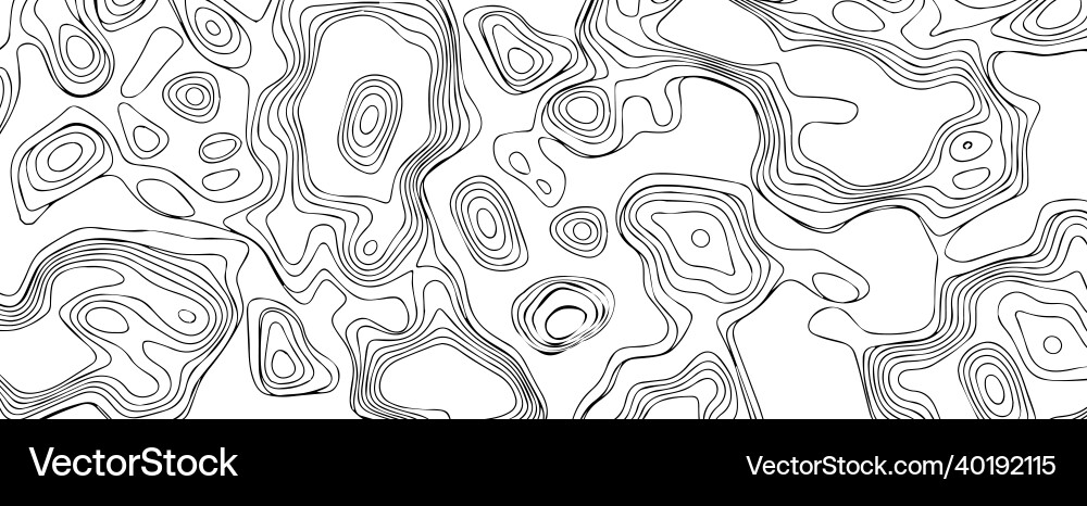 Topographic map of the area white phot with black Vector Image