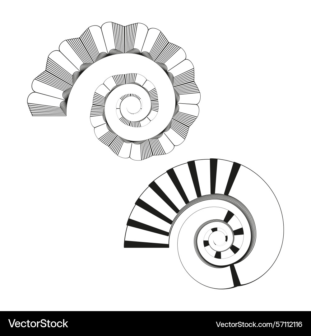 Spiral shell shapes nautilus line elements Spiral shell shapes nautilus line elements vector image