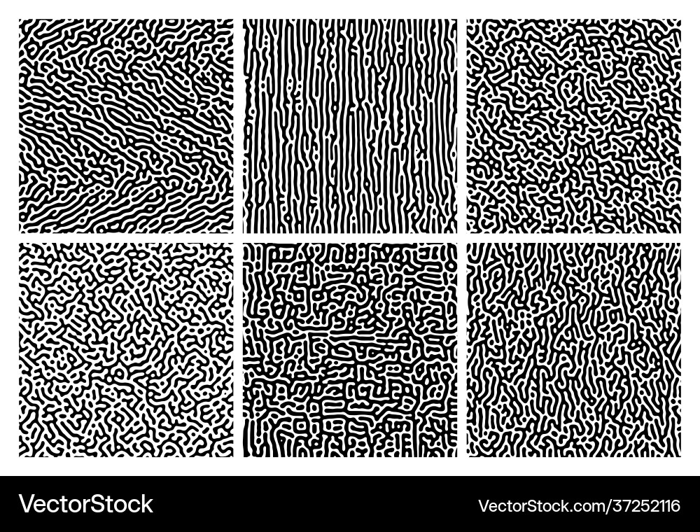 Turing reaction colorful background Turing reaction colorful background vector image