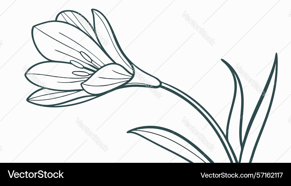 Simple flower and stem outline design generative Vector Image