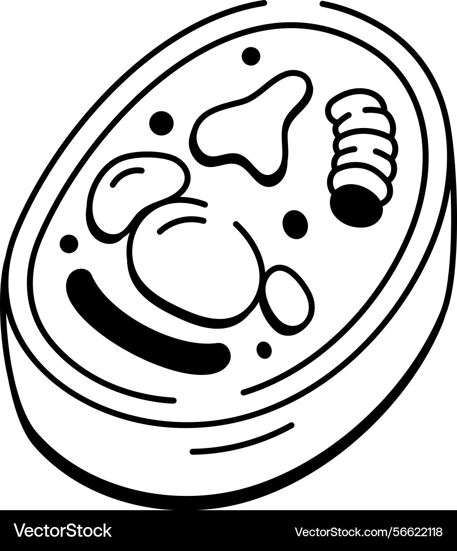 An icon of cell structure in hand draw Vector Image
