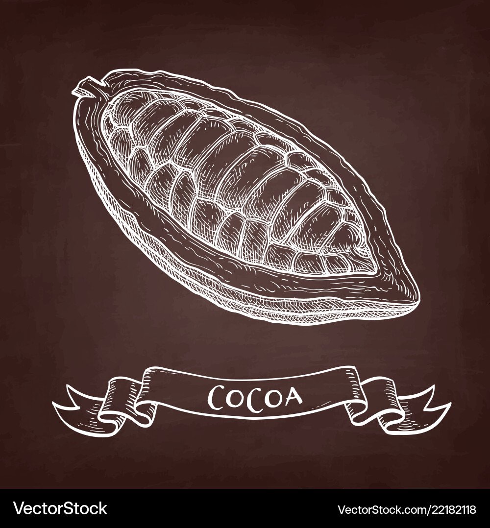Chalk sketch of cocoa Chalk sketch of cocoa vector image