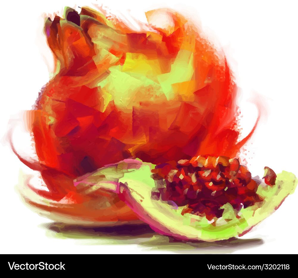 Drawing pomegranate with a slice vector image