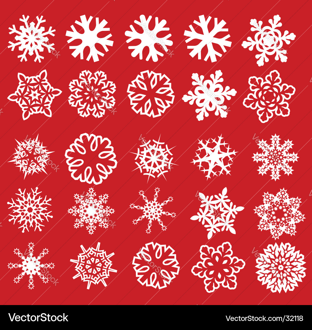 Winter Snowflake Collection Vector Image