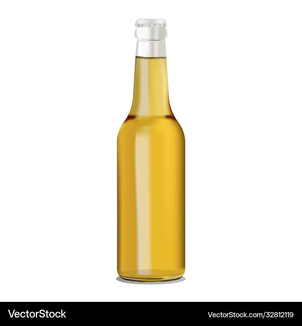 A transparent full beer A transparent full beer vector image