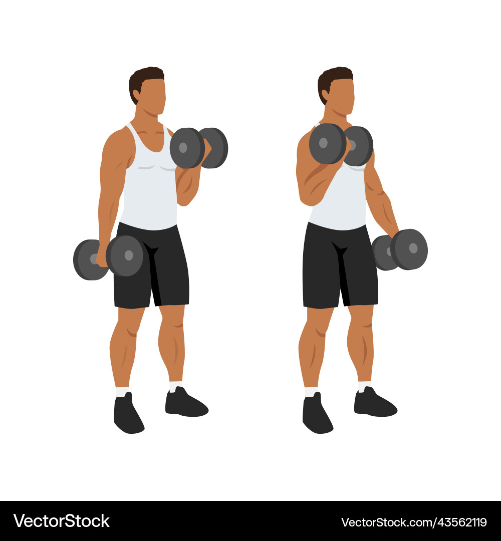 Man doing alternating dumbbell curl flat Man doing alternating dumbbell curl flat vector image