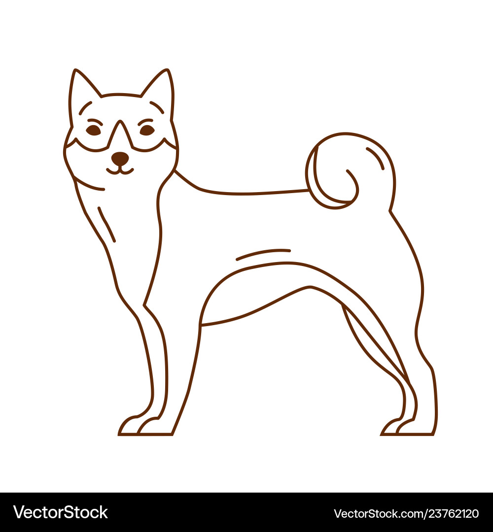 Abstract akita or shiba inu cute purebred dog Abstract akita or shiba inu cute purebred dog vector image