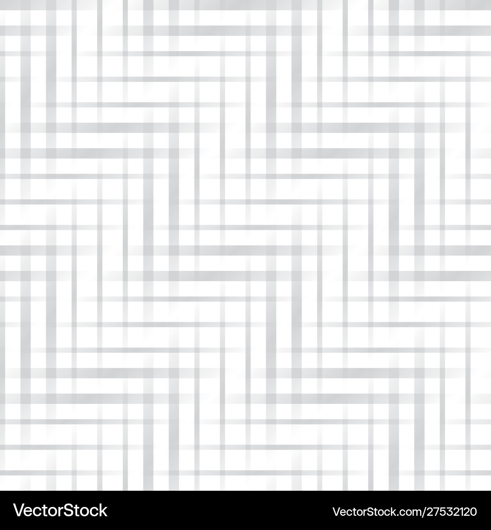 Gray Zigzag Pattern vector image