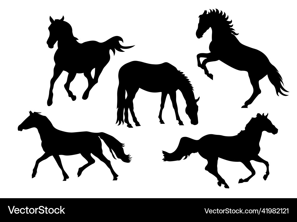 Black and White Horse Silhouettes Vector Image
