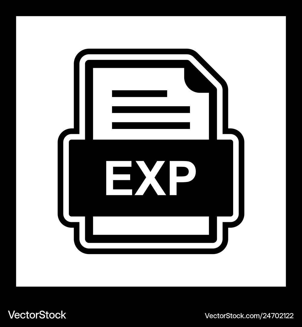 Exp file document icon Vector Image
