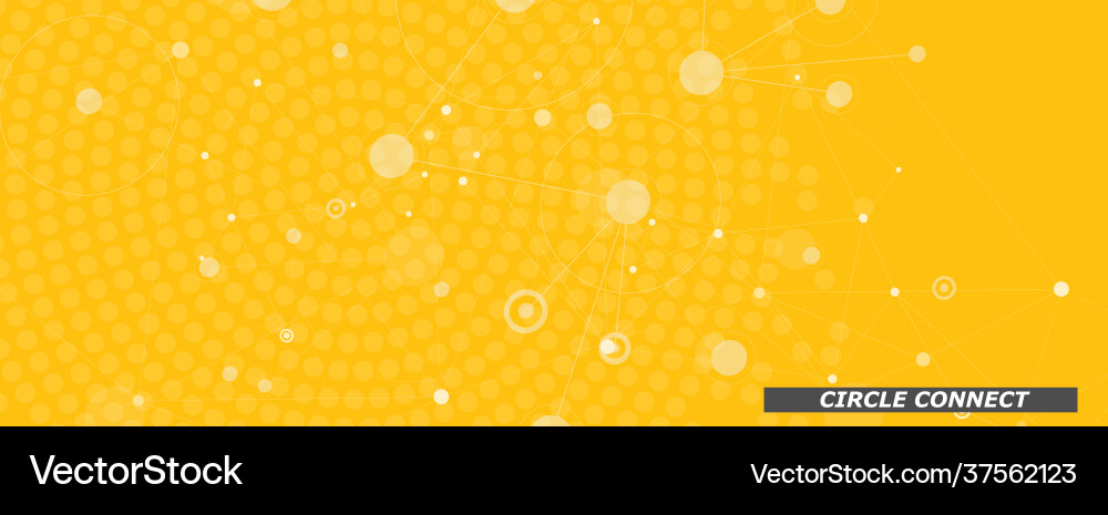 Abstract Connection Lines & Dots vector image