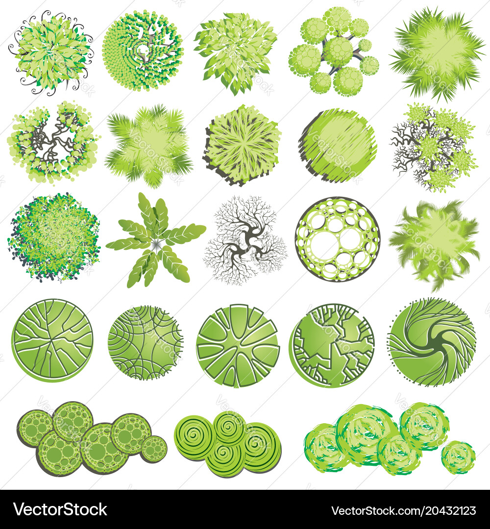 Different plants and trees set for architectural vector image