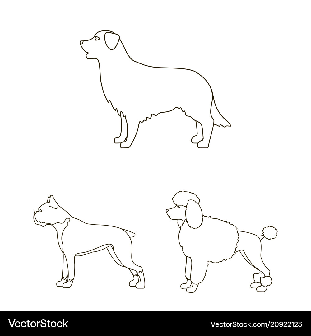 Dog breeds outline icons in set collection vector image