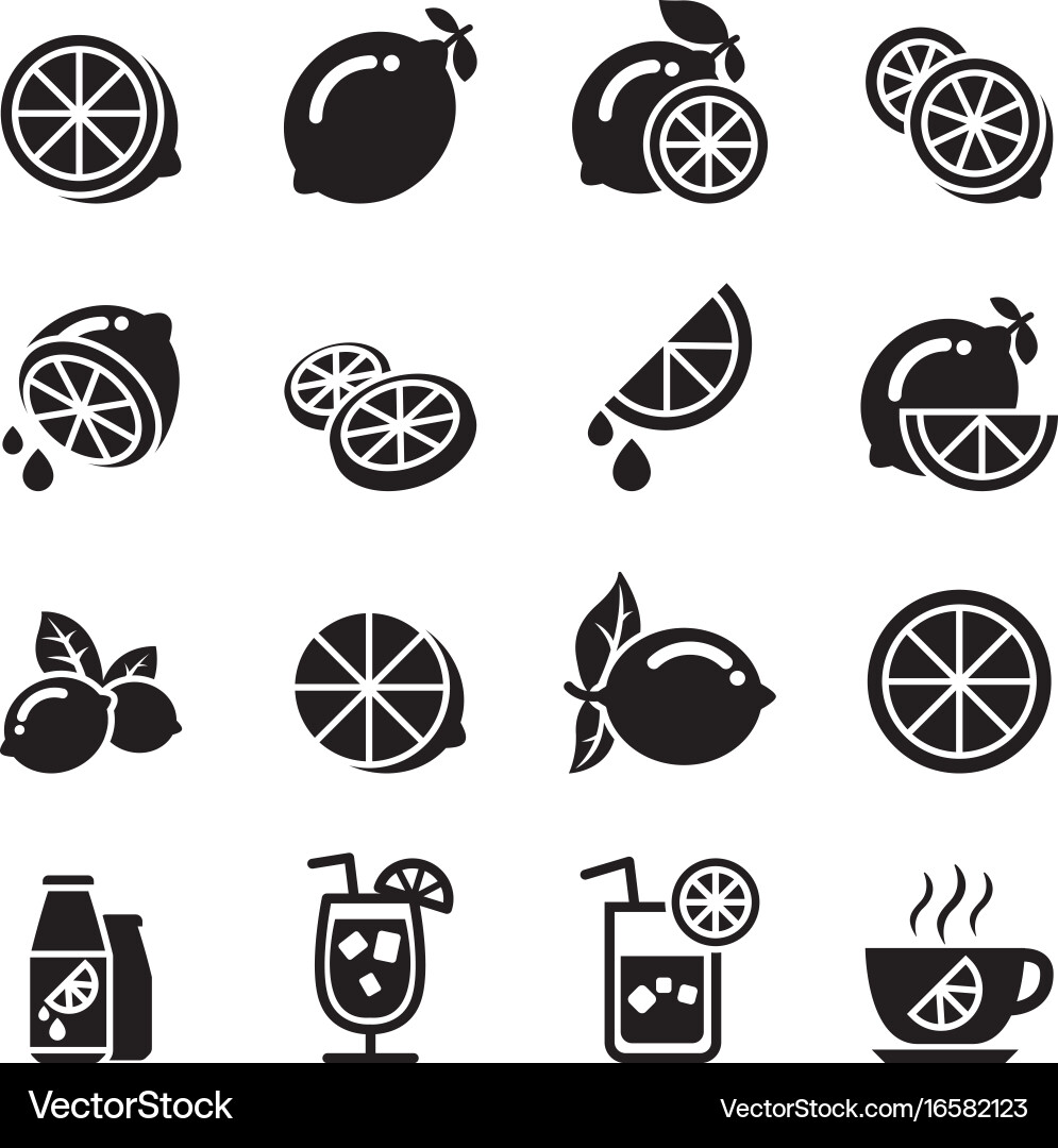 Lemon Fruit Icons Set Vector Image