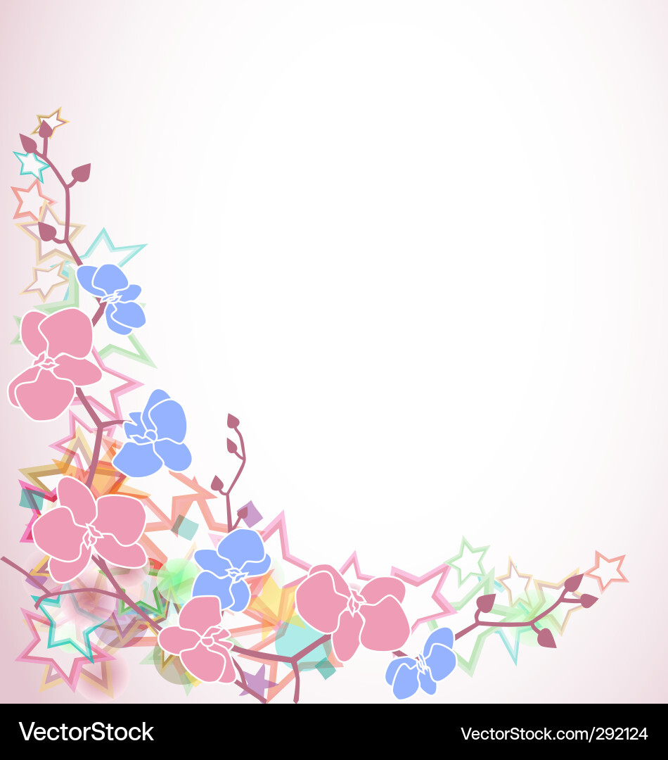 Design with orchids and stars vector image