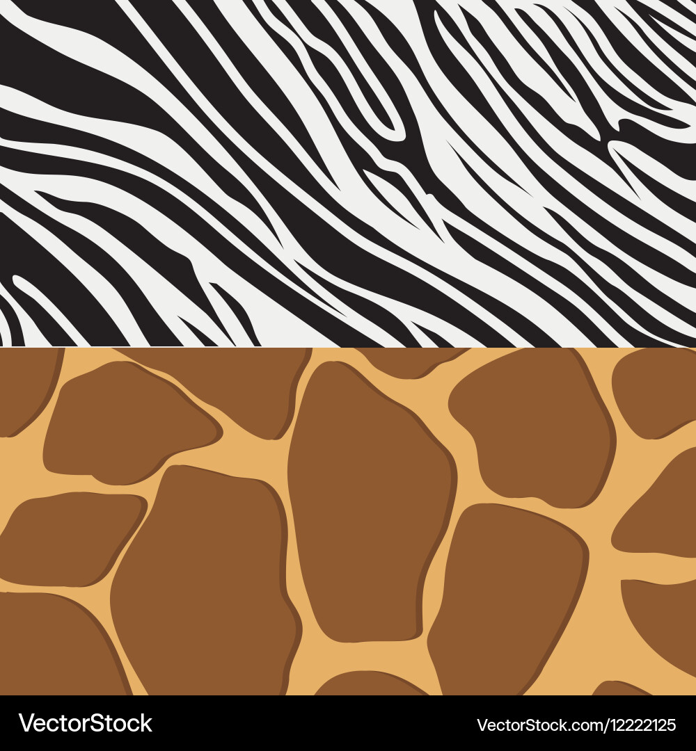 Animal print pattern image Vector Image