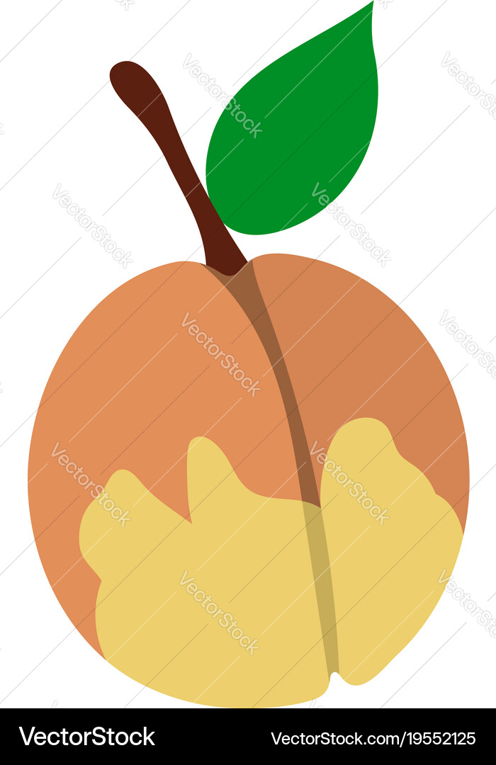 Flat design icon of peach in ui colors vector image