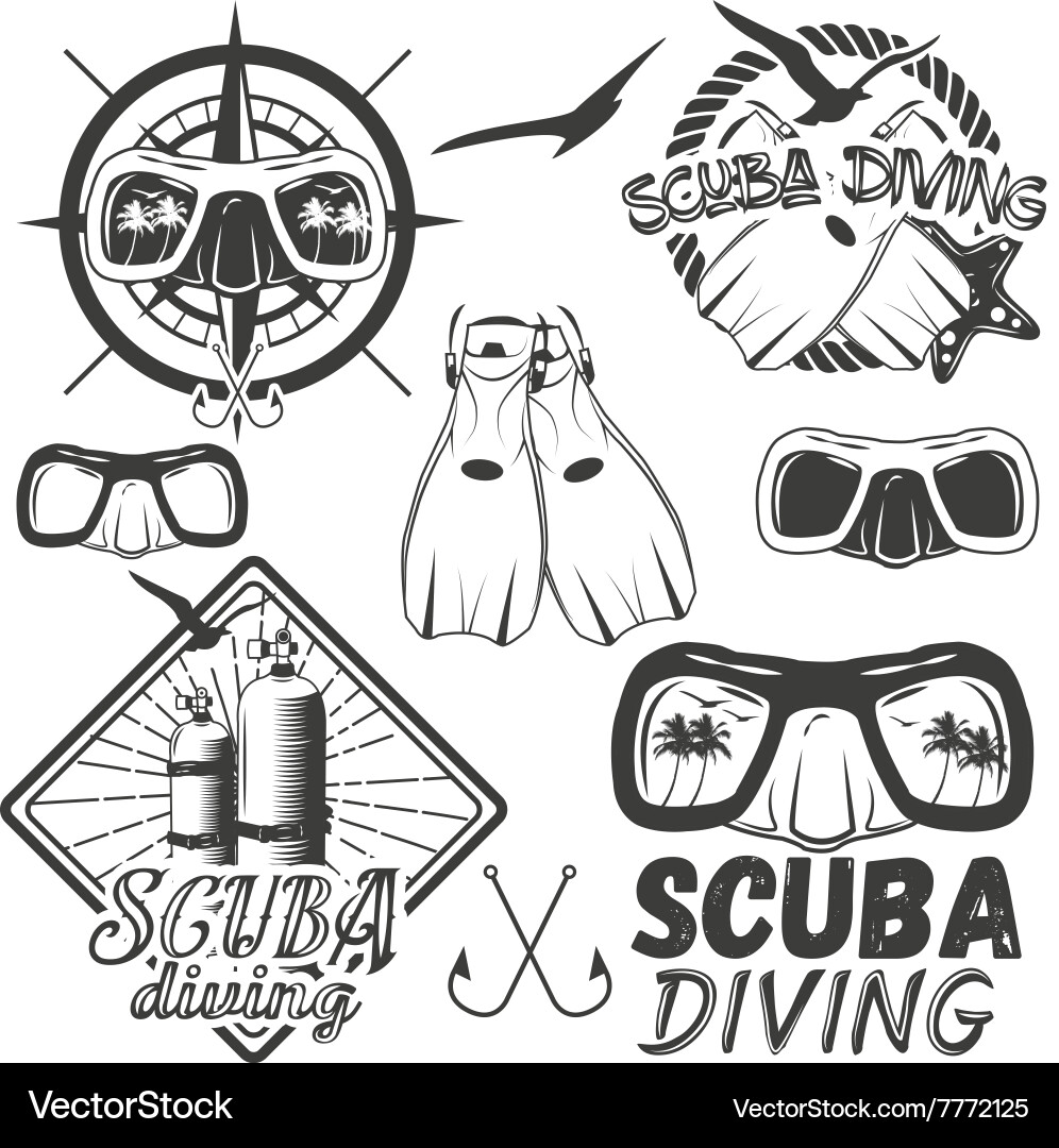 Scuba Diving Icons & Labels vector image