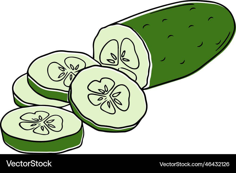 A sliced cucumber in linear vector image