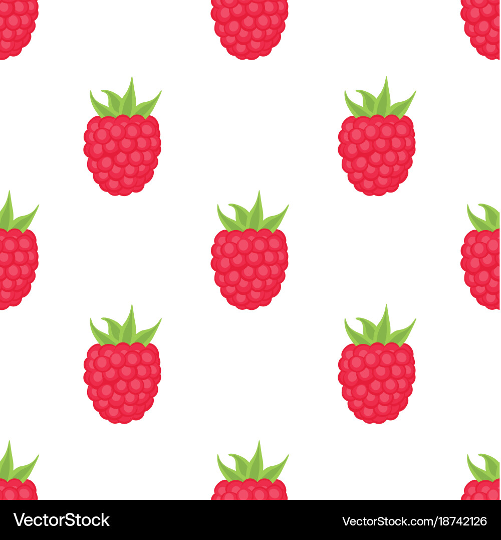 Raspberry Pattern vector image