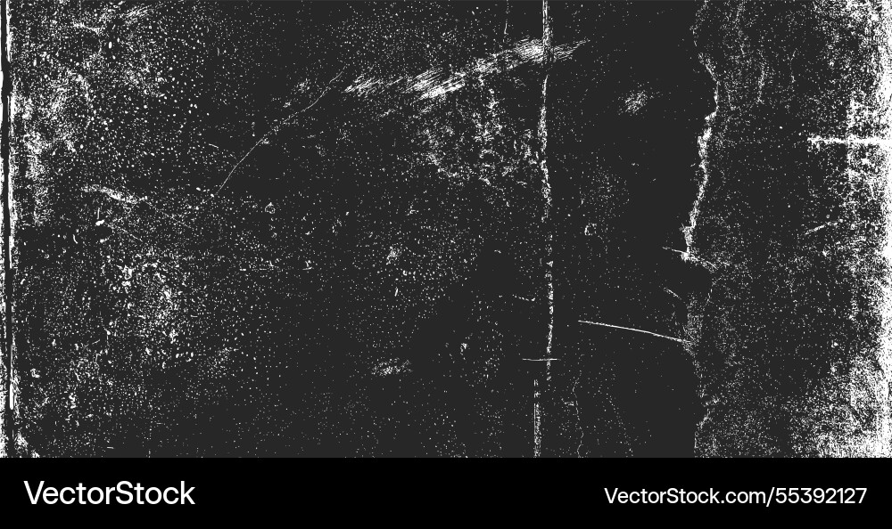Black and white grunge Black and white grunge vector image