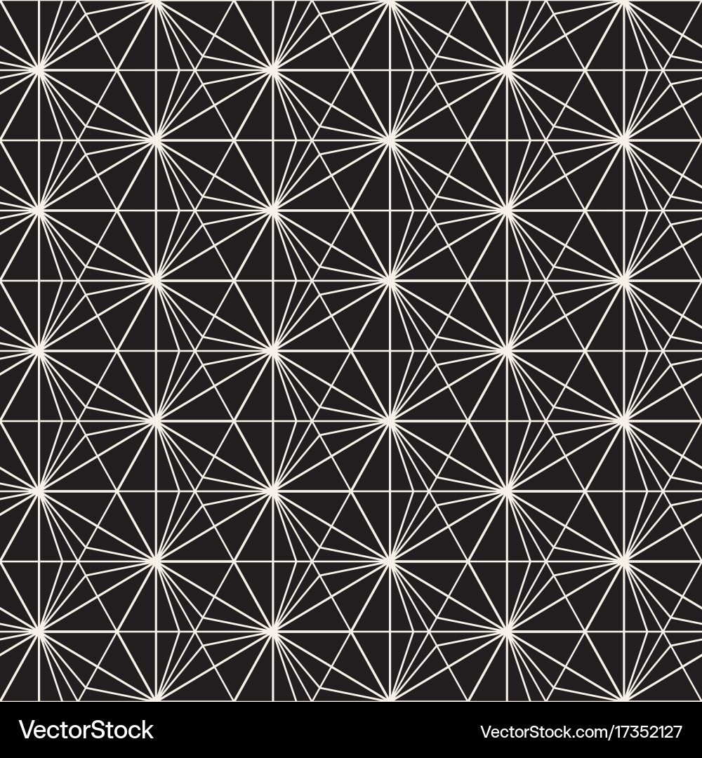 Seamless pattern with lines lattice vector image