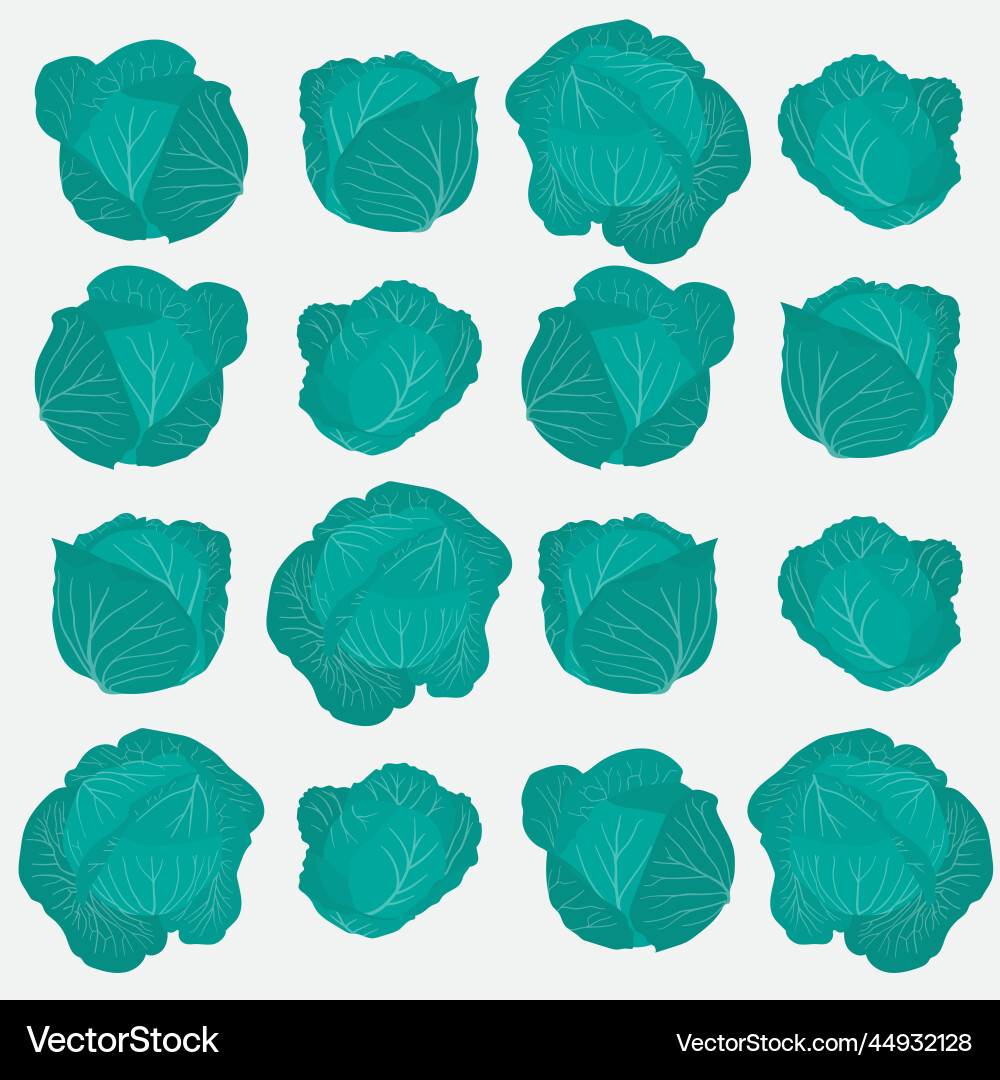 Cabbage print pattern background in flat design Cabbage print pattern background in flat design Vector Image