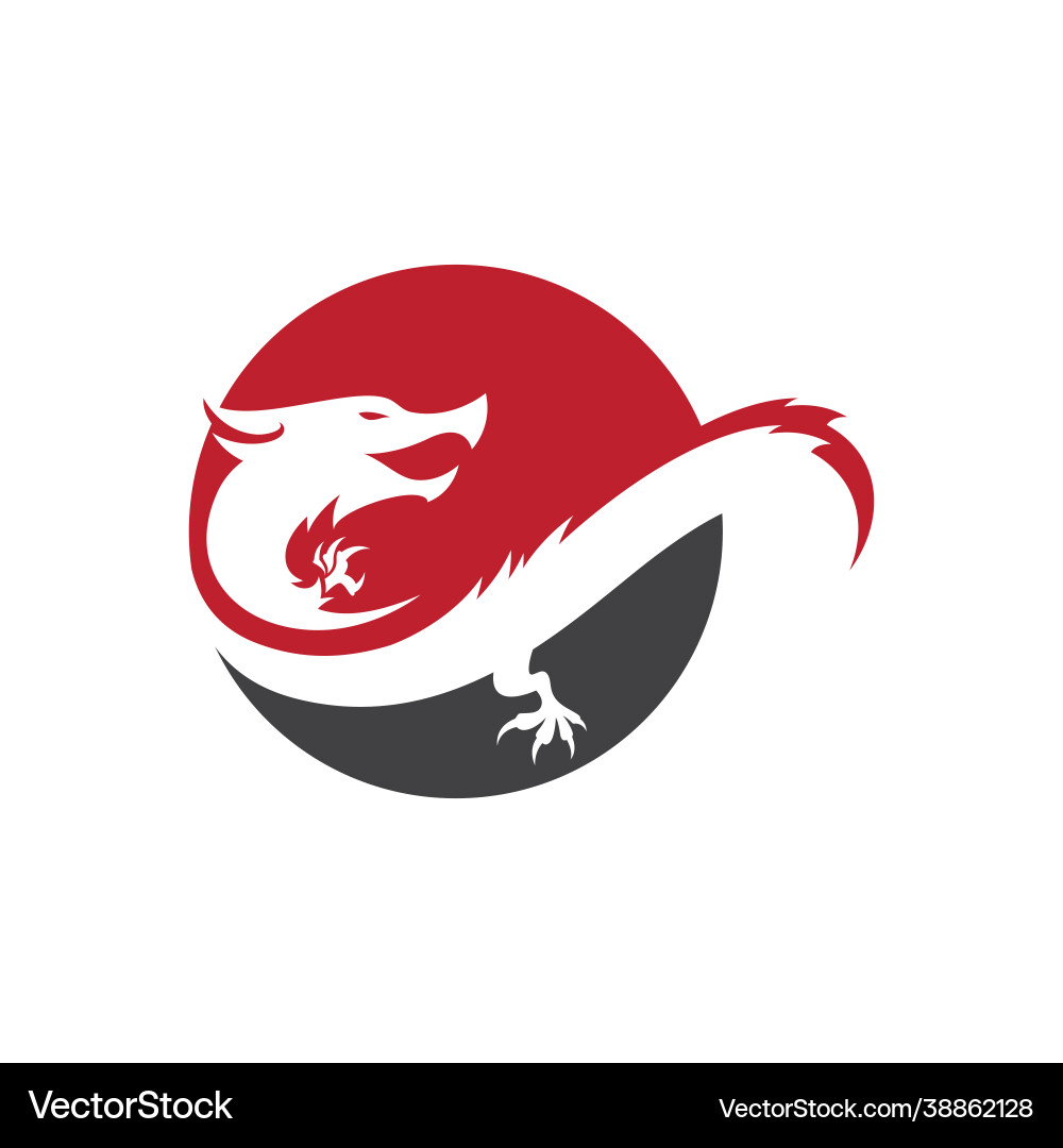 Dragon icon Dragon icon vector image