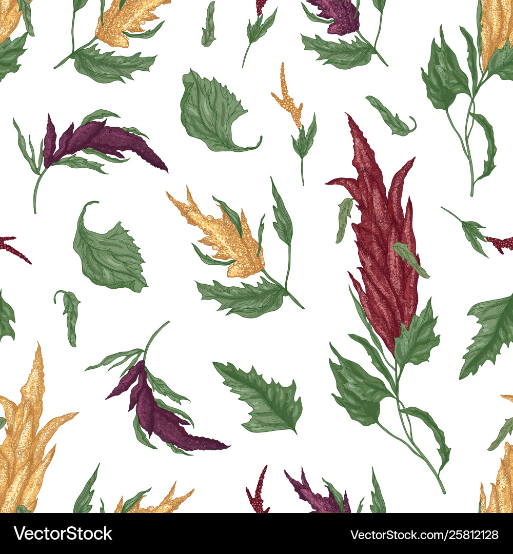 Natural seamless pattern with quinoa or amaranth Natural seamless pattern with quinoa or amaranth vector image