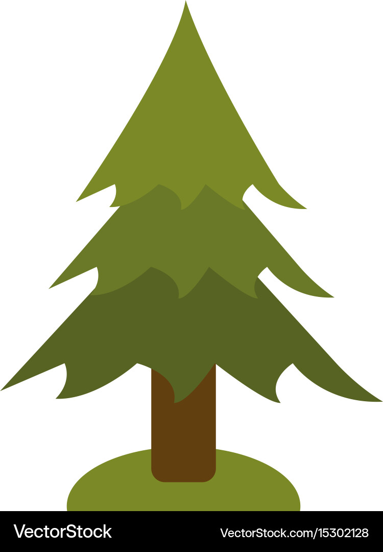Pine tree icon image vector image