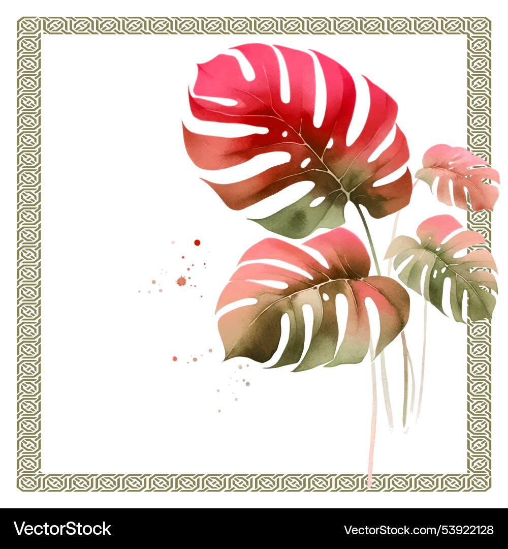 Tropical plants monstera leaves watercolor hand Tropical plants monstera leaves watercolor hand vector image