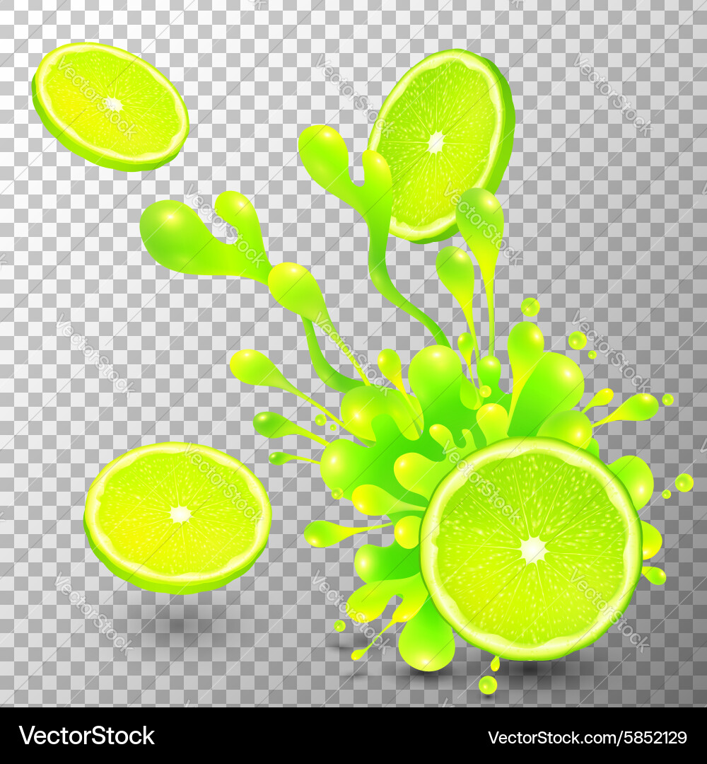 Lime slice with juice splash on transparent vector image