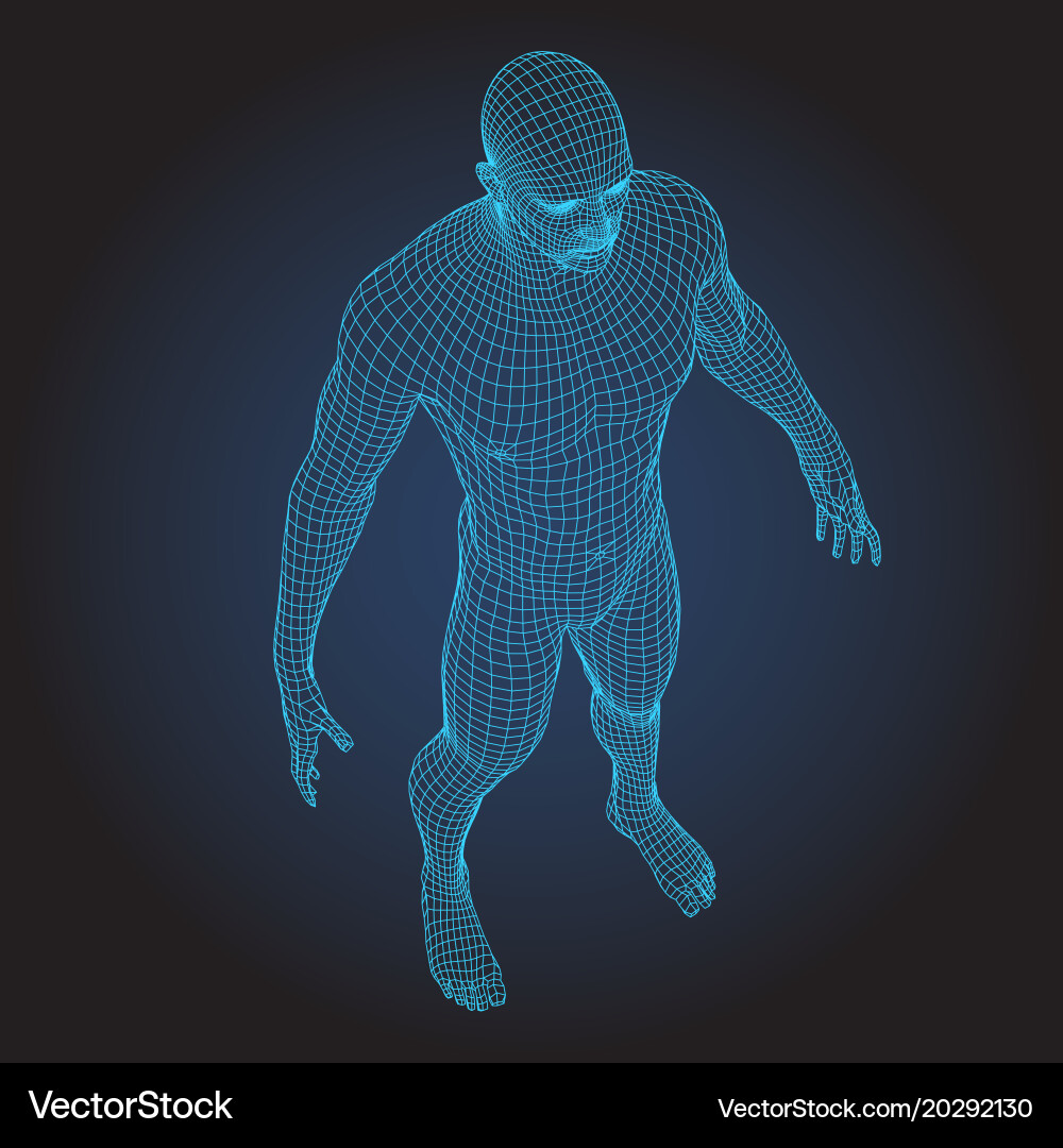 3D Wireframe Human Head Royalty Free Vector Image