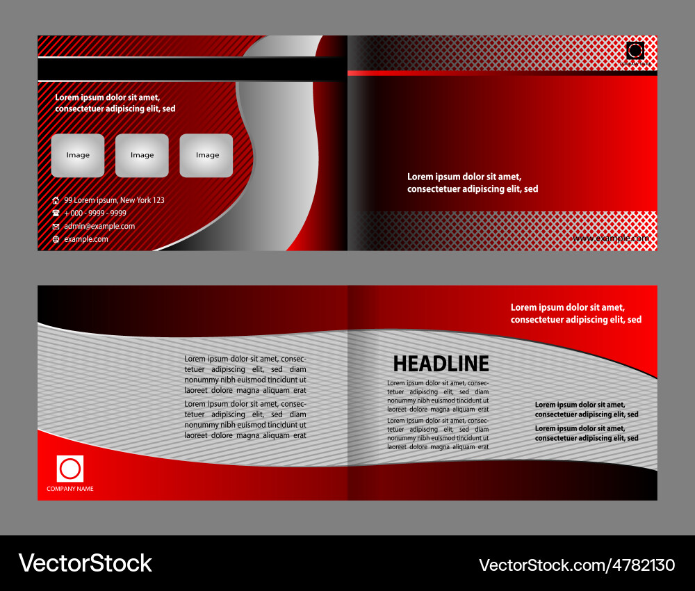 Empty brochure template design with red vector image