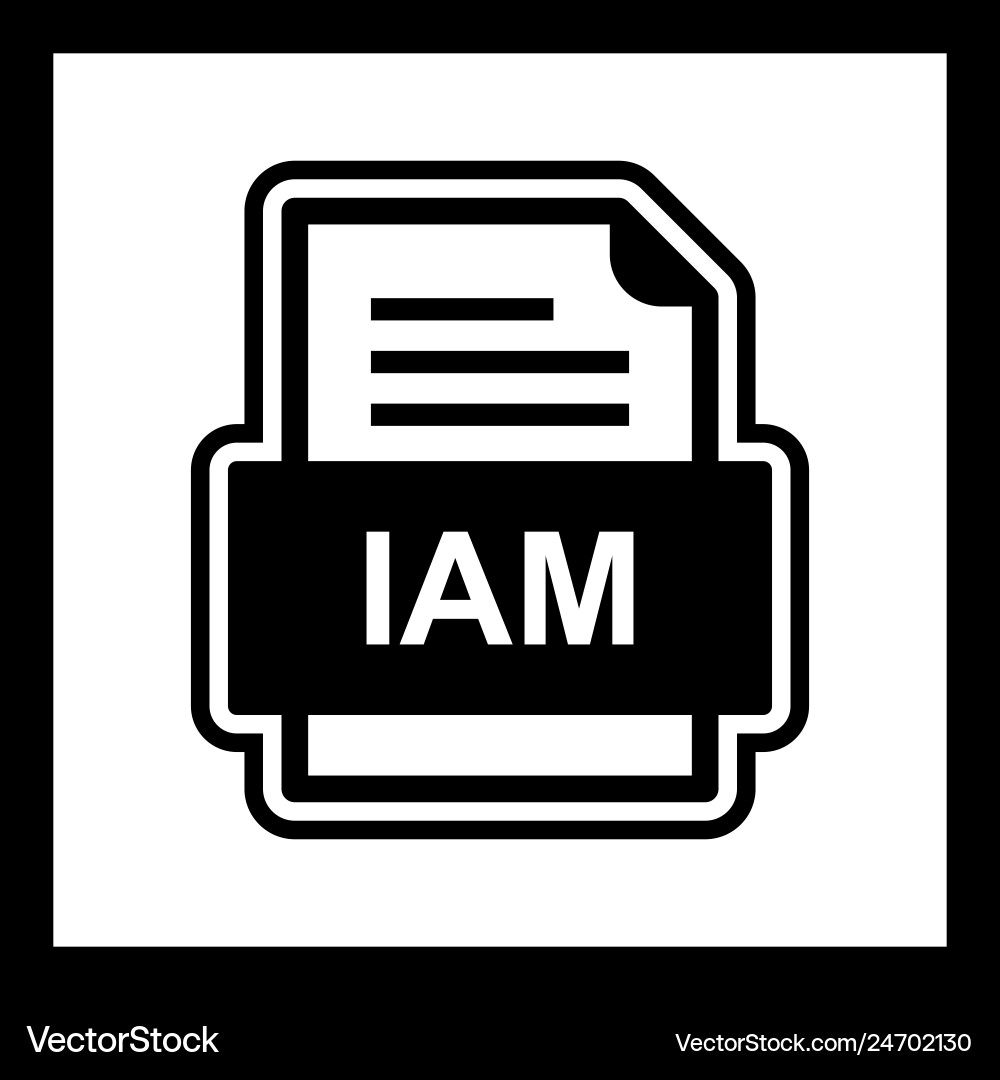 Iam file document icon vector image