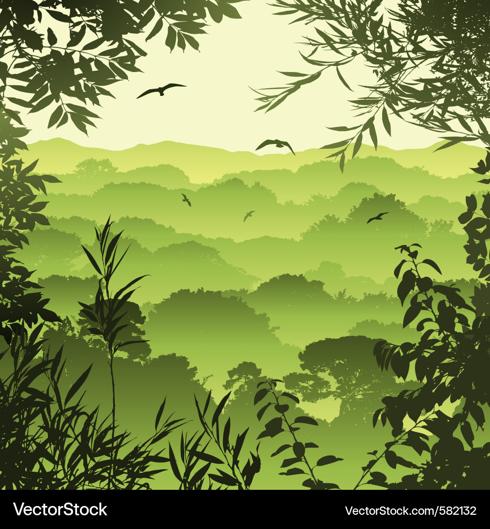 Dense Green Forest vector image